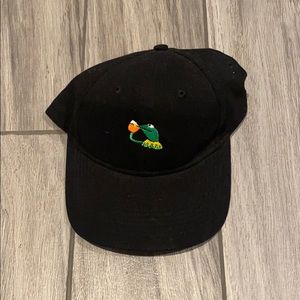 Kermit the Frog hat